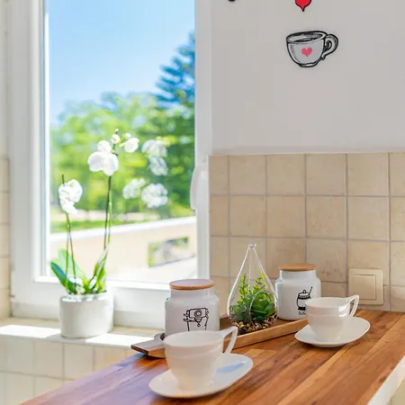 Dora - Family House With Saltwater Pool In Gostinjac, Krk Island *